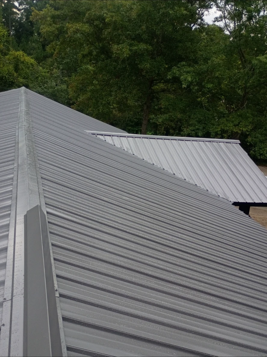New standing-seam metal roof with clean ridge lines, trees in the background