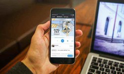 北京软件开发、知识付费半岛（中国）一站式服务平台-北京软件开发公司